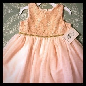 Blush and Gold Toddler Dress